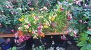 IMG-20230725-WA0083