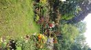 IMG-20230727-WA0011