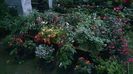 IMG-20230728-WA0063