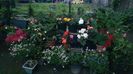 IMG-20230728-WA0070