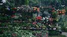 IMG-20230728-WA0067
