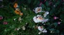IMG-20230728-WA0083