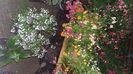 IMG-20230728-WA0091