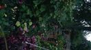 IMG-20230728-WA0101