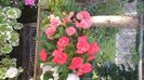 IMG-20230725-WA0053