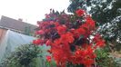 IMG-20230725-WA0097