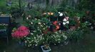 IMG-20230728-WA0059