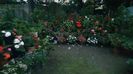 IMG-20230728-WA0061