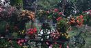received_670624224932852
