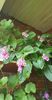 received_325694956522104