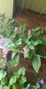 received_327500509658626