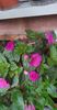 received_136425389546461