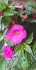 received_687203539974611