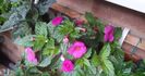 received_1007157760329480