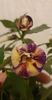 received_670092941727377