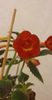 received_816269416663472