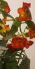 received_2530297760478805