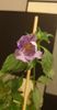 received_1057333108966231