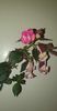 received_1054323742395269