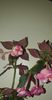 received_679846284206404