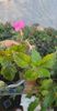 received_3524639174461761