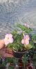 received_762018268925083