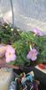 received_1015802332780438