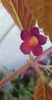 received_2027353837614200