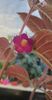 received_1280060022645234