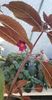received_1055850712033124