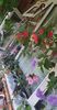 received_1355442425049723