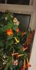 received_215237841308058