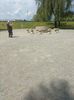 IMG-20230605-WA0042