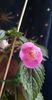 received_854777165998578