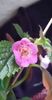 received_1028017678522850