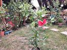 IMG20230923114631
