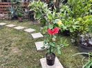 IMG20230923114618
