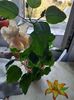 IMG-20230921-WA0009