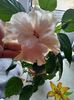 IMG-20230921-WA0010