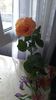 IMG-20230921-WA0008