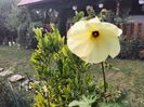 IMG20230921173139