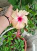 IMG-20230927-WA0003