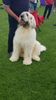 IMG-20230530-WA0004