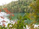 Lake Pink, Gatineau