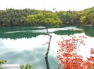 Lake Pink, Gatineau 2