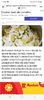 Screenshot_20231006_142512_Facebook