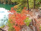 Lake Pink, Gatineau 2