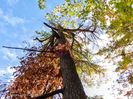 Park Gatineau 6