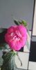 received_835646704667937