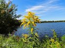 Lake Lemay, Gatineau 6